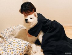 名美美术教育——女子美多摩美双合格的文艺少女的考学之路