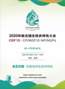 联合国生物多样性大会（COP15）第一阶段闭幕！蕃茄田艺术以实际行动助力保护生物多样性